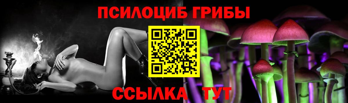 Псилоцибиновые грибы мицелий  Вход с VPN  Уварово 